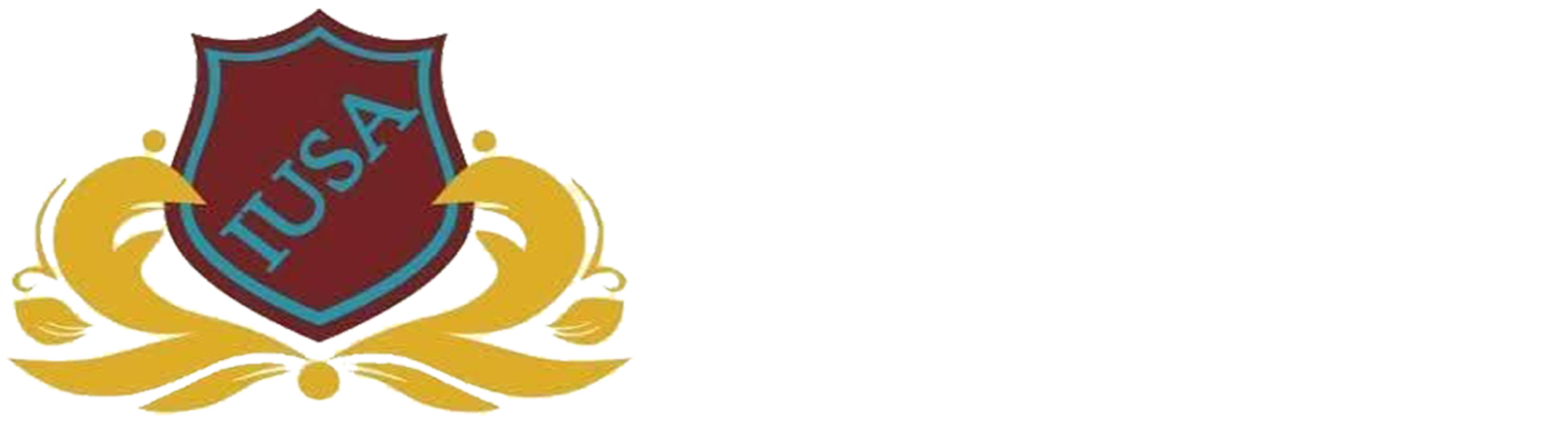 Igbo United Sisters of America